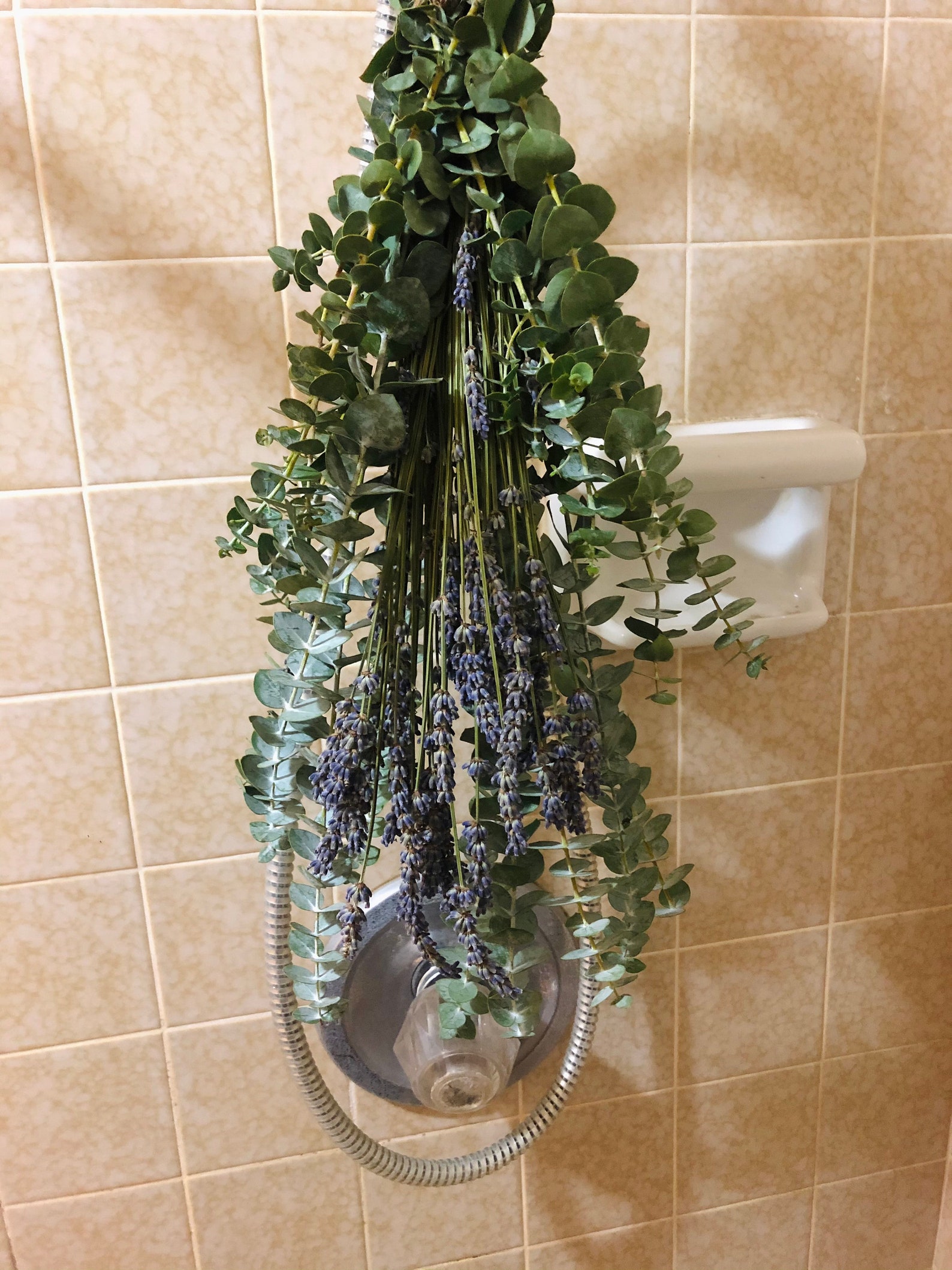 Lavender & Eucalyptus Shower Bundle Aromatherapy Spa Shower Etsy