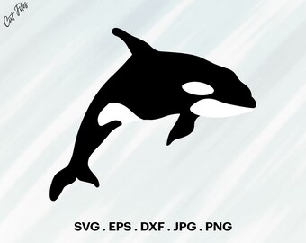 Download Orca Svg Etsy