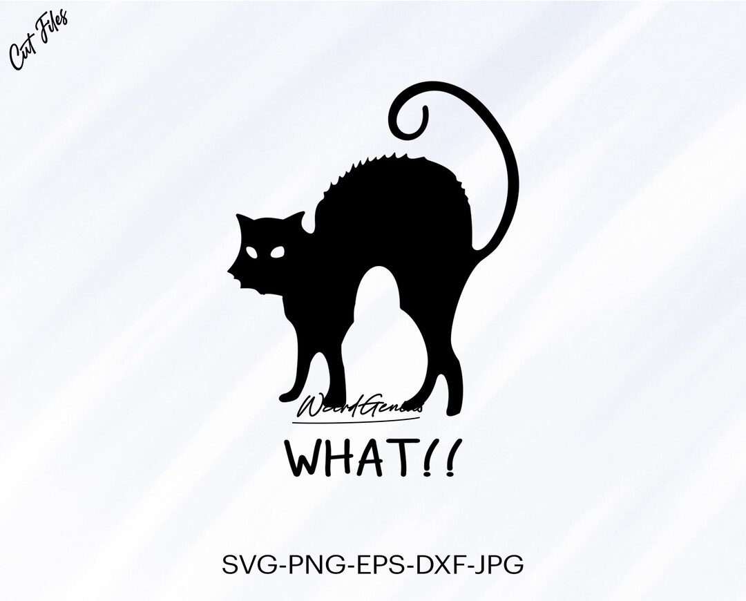 Scaredy Cat Svg Scaredy Cat Funny Cat Svg Instant Download Etsy