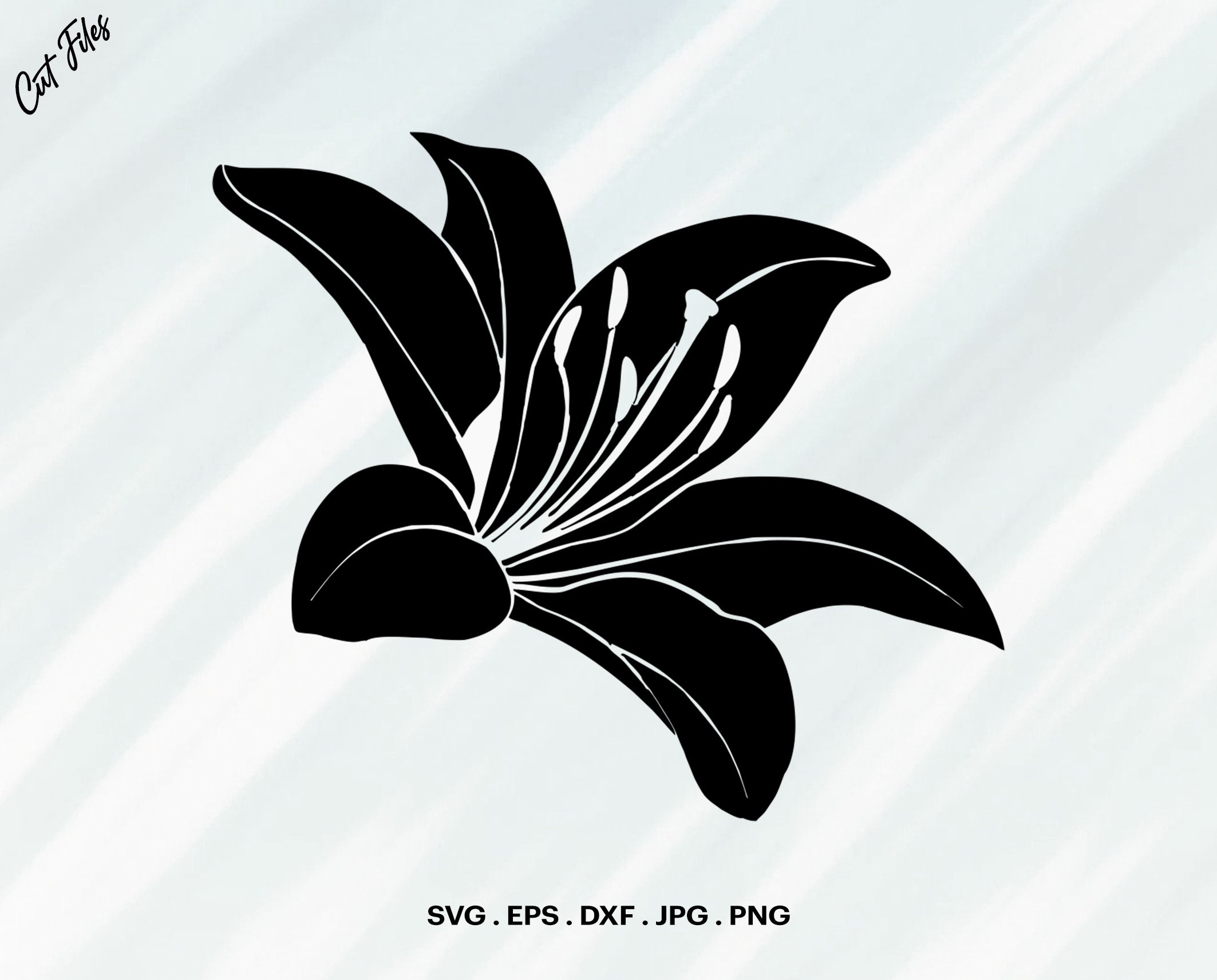 Lily SVG Lily Rose SVG Flower svg Calla lily Svg Cut File Etsy España