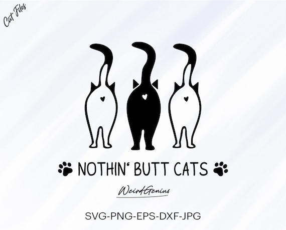 Funny Cat Svg Funny Cat Saying Svg Cat Svg Instant Download | Etsy