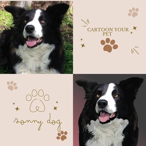 Cartoon your pet/Custom Dog/Cat/Pet portraits T-shirt & Sticker pack / Turn pictures/photos of your pet into a realistic cartoon design.
