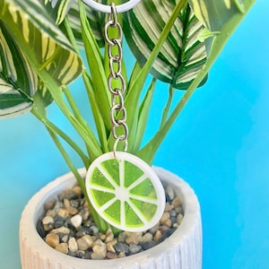 Fruit Slices Keyring, Key Chain, Fun and Funky, Lime