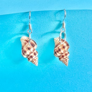 May include: A pair of silver dangle earrings featuring a brown seashell design. The seashells are detailed with brown and white stripes.