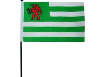 Berkshire Old County Small Hand Waving Flag 6/" x 4/"
