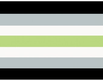 Agender Flag Large 5 X 3 Ft Lgbtq Gay Pride Etsy