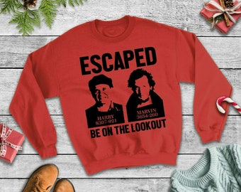 Kids Wet Bandits Escaped Christmas 