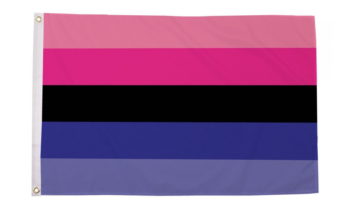 Omnisexual Flag Large 5 X 3 FT LGBTQ Gay Pride Etsy UK