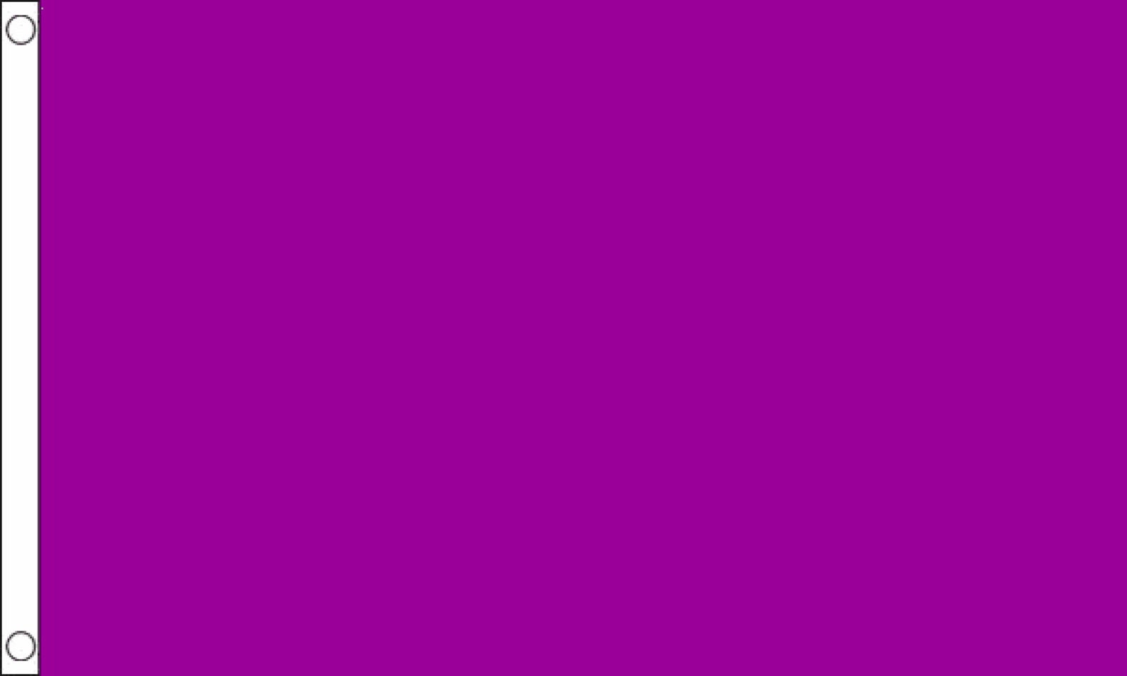 Plain Purple Flag Large 5 x 3 FT Display Banner Sign | Etsy