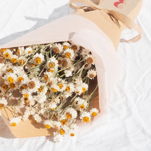 1 Bunch Dried Daisy Flowers Mini Daisies Floral Bouquet Wedding Party Home Decor 1 Bunch Dried Daisy Flowers Mini Daisies Floral Bouquet Wedding Party Home Decor
