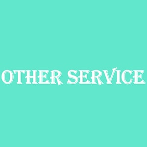 May include: White text on a turquoise background reads "OTHER SERVICE".