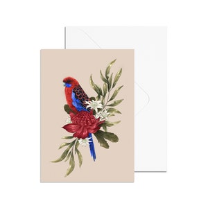 A6 Crimson Rosella Card