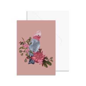 A6 Pink Galah Card