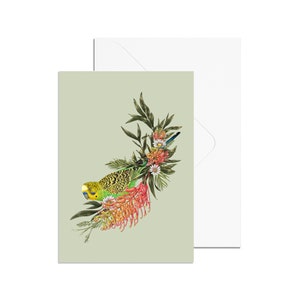 A6 Green Budgerigar Card