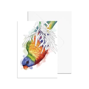 A6 Watercolour Rainbow Lorikeet Card
