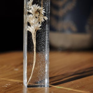 Peut inclure: Un bloc de résine rectangulaire transparent enferme une plante beige séchée. La plante a des feuilles délicates et plumeuses et une tige fine. Le bloc est posé sur une surface en bois, la lumière se reflétant sur la résine.