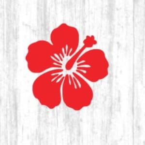 Set mit 10 Hibiskusblüten Aufklebern, Blumenaufklebern