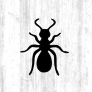 Juego de 15 pegatinas de vinilo con forma de hormigas, insectos, decoración para iPhone, iPad, ventana, pared o coche.