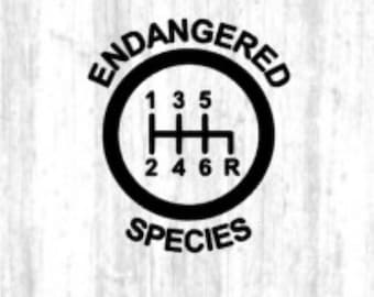 6 Speed Endangered Species Gear Shift Decal - 6 Speed Diagram - Manual Shift Car Stick Shift Manual transmission Car Decal Truck Decal