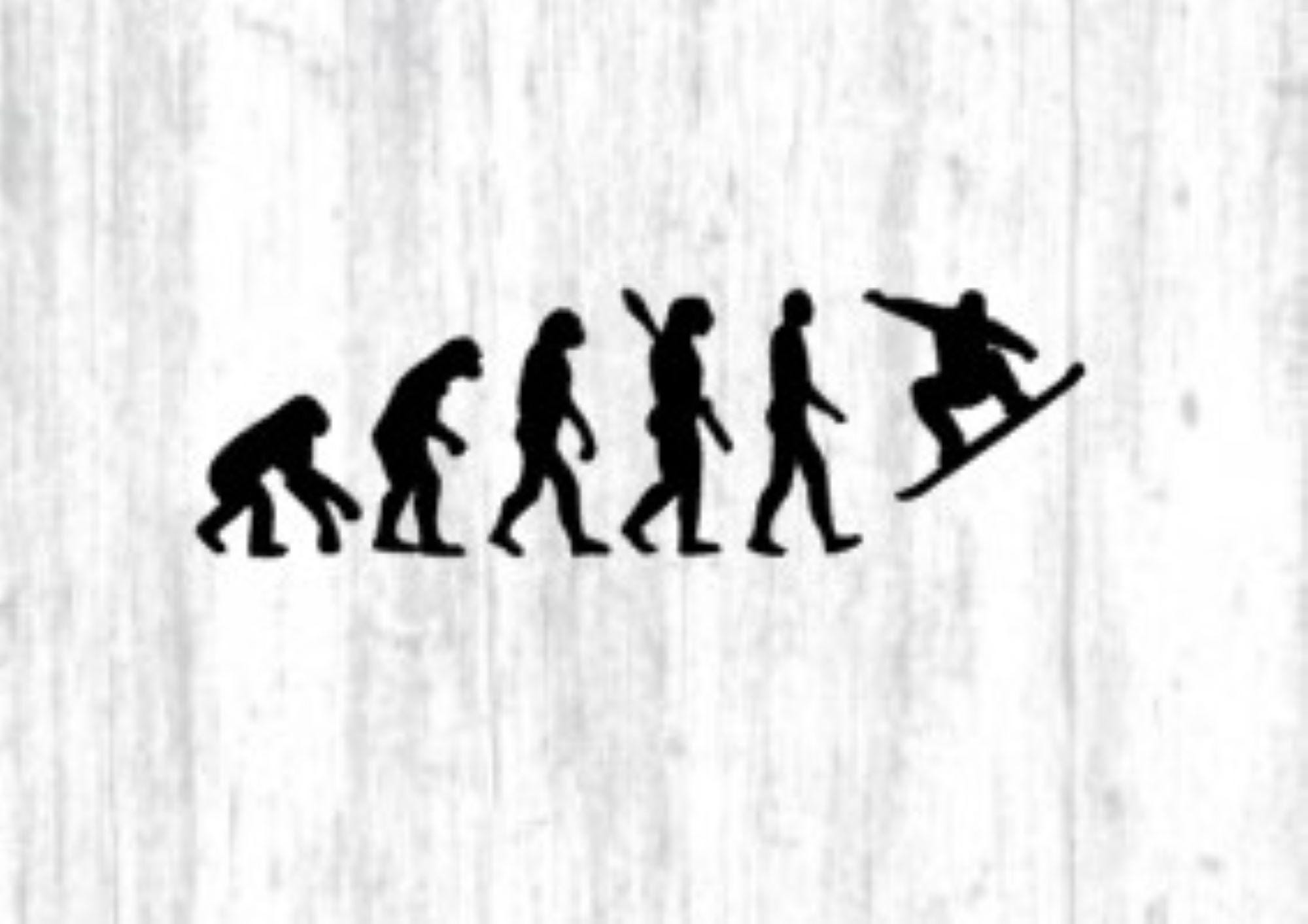 Calcomanía de evolución del snowboard