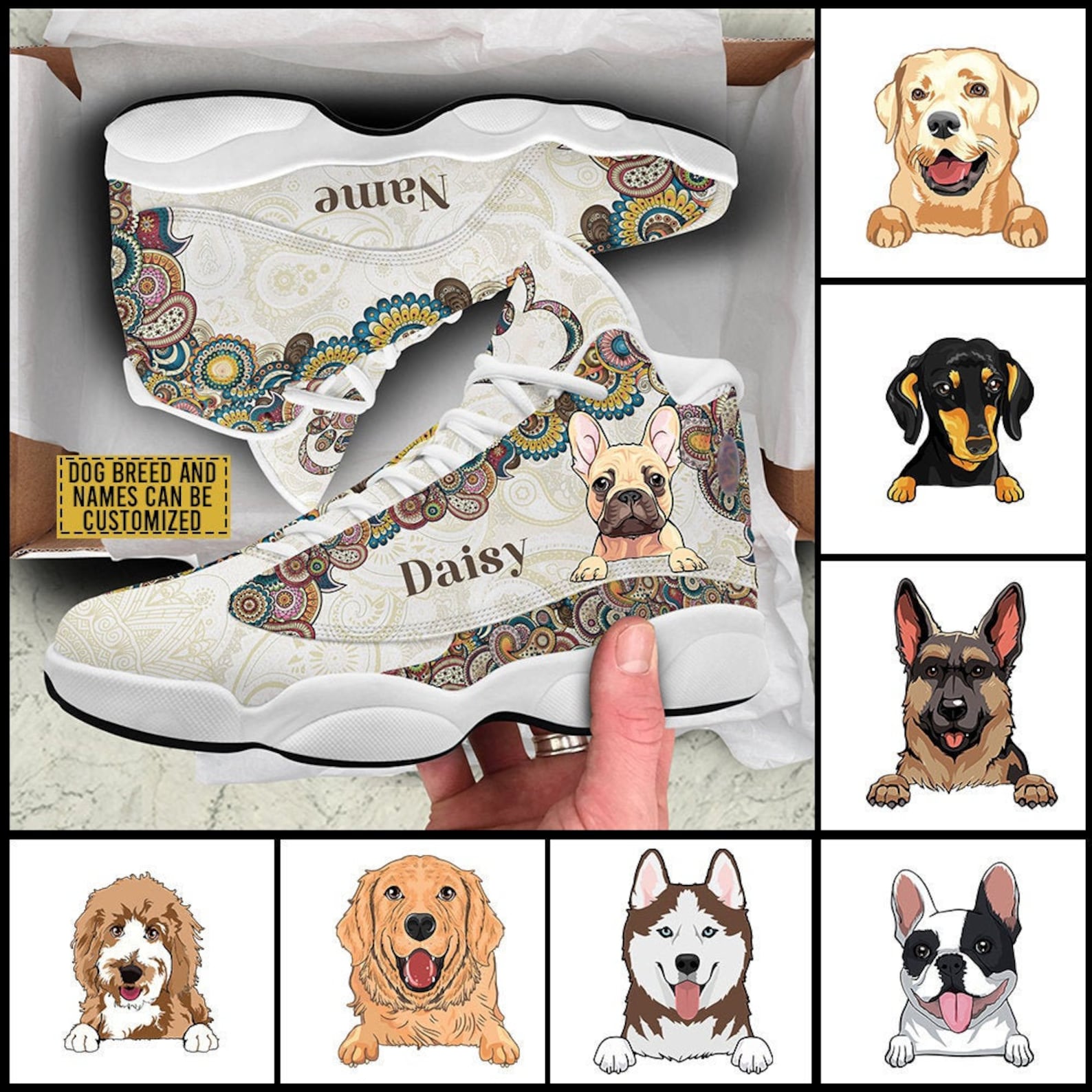 dog with jordans