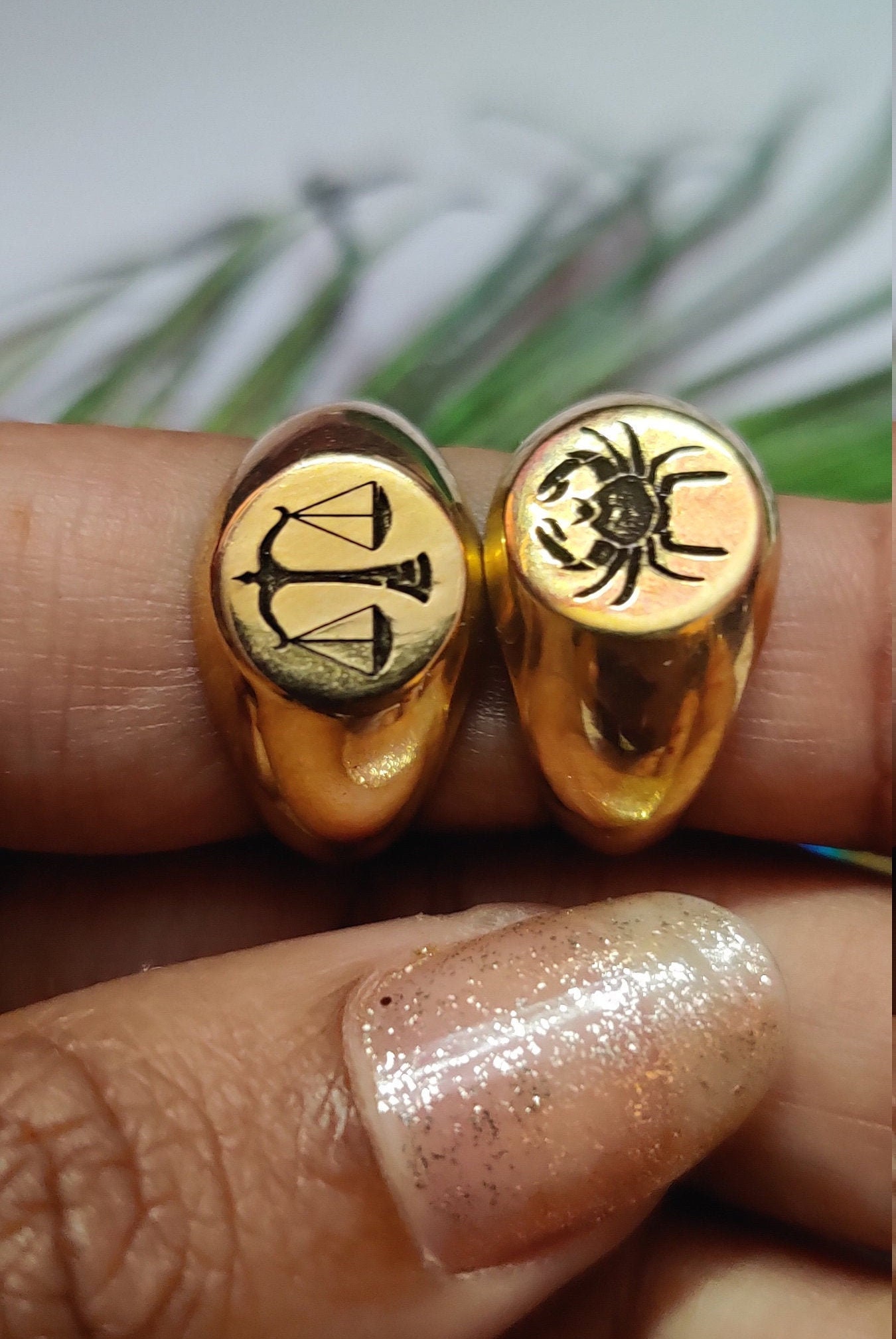 Zodiac Sign Rings Zodiac Ring Zodiac Rings Etsy