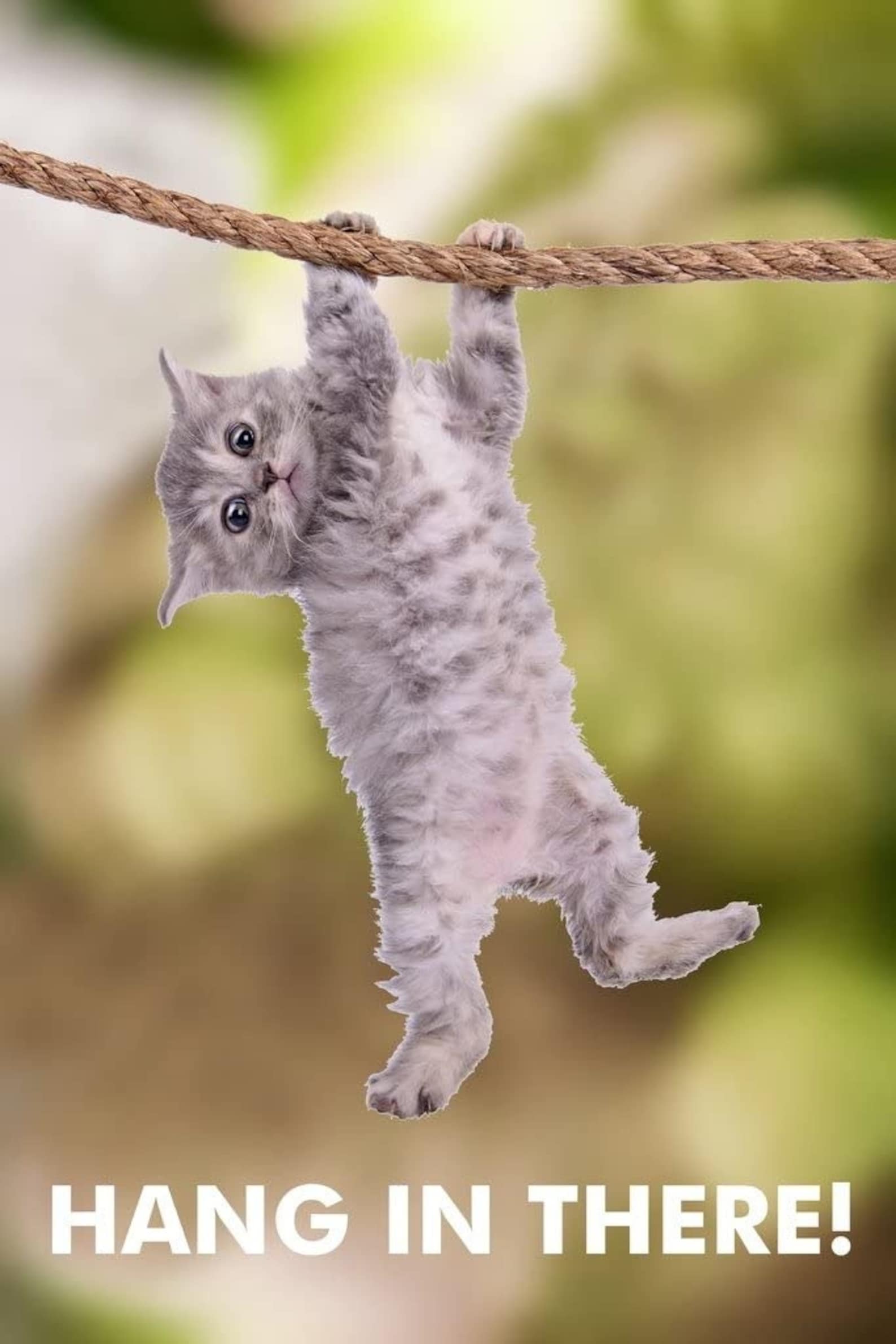 Hang in There Cat Retro Motivational Cool Wall Decor Art Print Etsy