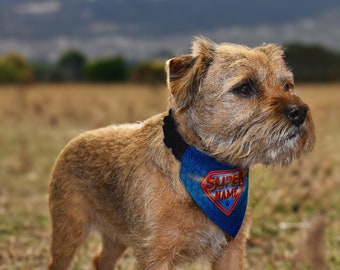 Super Hero - Custom Personalised Dog Bandana - 4 Sizes