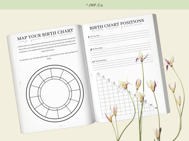 Birth Chart Mapping Natal Chart Cheat Sheet Astrology - Etsy