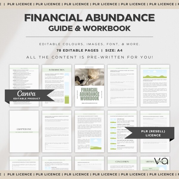 PLR: Financial Abundance Guide & Workbook | Money Management | Money Manifestation | Coaching Templates | Financial Freedom | Canva Editable