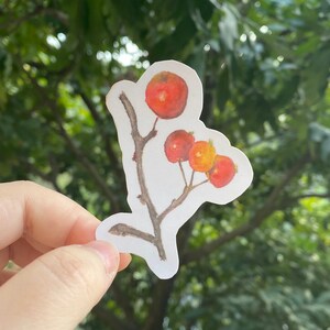 Híbridos de maçã caranguejo | adesivo cortado | Adesivos para laptop | adesivo | adesivo aquarela | Mundo das Plantas | Adesivo de planta