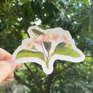 Fiori ibridi di mela granchio / Adesivo fustellato / Adesivi per laptop / Adesivo / Adesivo acquerello / Mondo vegetale / Adesivo vegetale