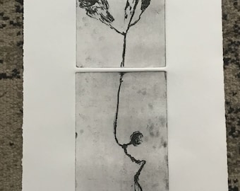 divided line V - 19/100 editioned intaglio etching soft ground diptych print making