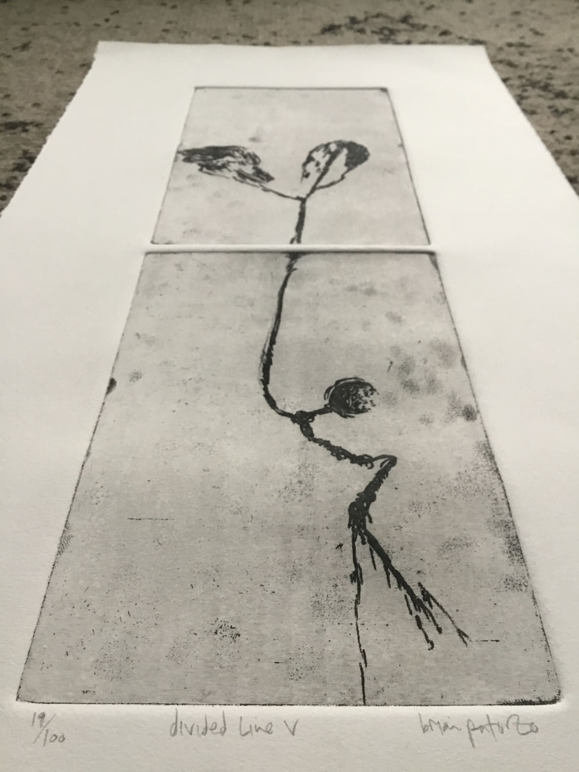 Divided Line V 19/100 Editioned Intaglio Etching Soft Ground Diptych ...