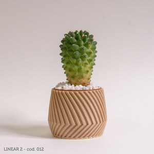 Peut inclure: Un petit cactus vert dans un pot en céramique brun à rayures. Le pot a un motif linéaire texturé.