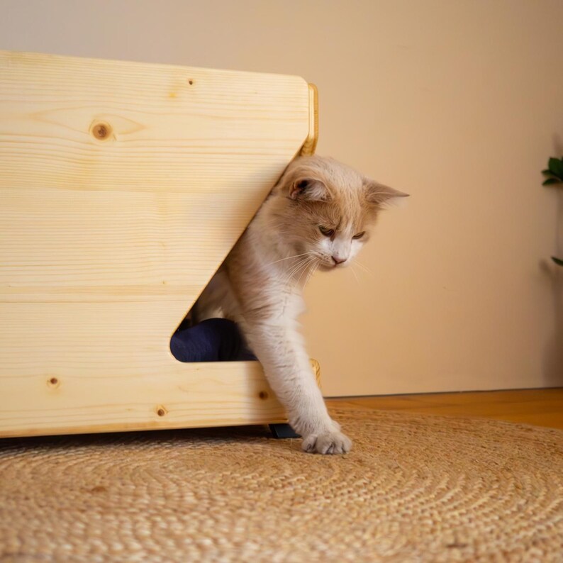 Pu&ograve; includere: Un letto per gatti in legno marrone chiaro con un gatto che sporge dall'apertura. Il gatto &egrave; bianco e arancione con una coda folta.