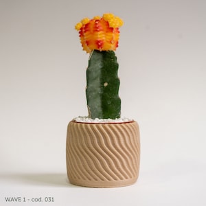 Può includere: Un piccolo cactus con un fiore di colore arancione e giallo brillante sboccia in un vaso marrone con una texture ondulata. Il vaso è pieno di ciottoli bianchi.