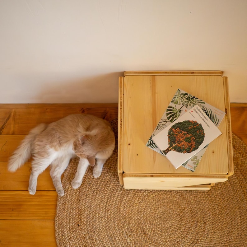 Pu&ograve; includere: Un gatto marrone chiaro &egrave; sdraiato su un tappeto intrecciato marrone chiaro accanto a un tavolino di legno. Il tavolo ha un libro con una copertina verde e bianca in cima. Il libro ha il testo "Botanical Garden" sulla copertina.
