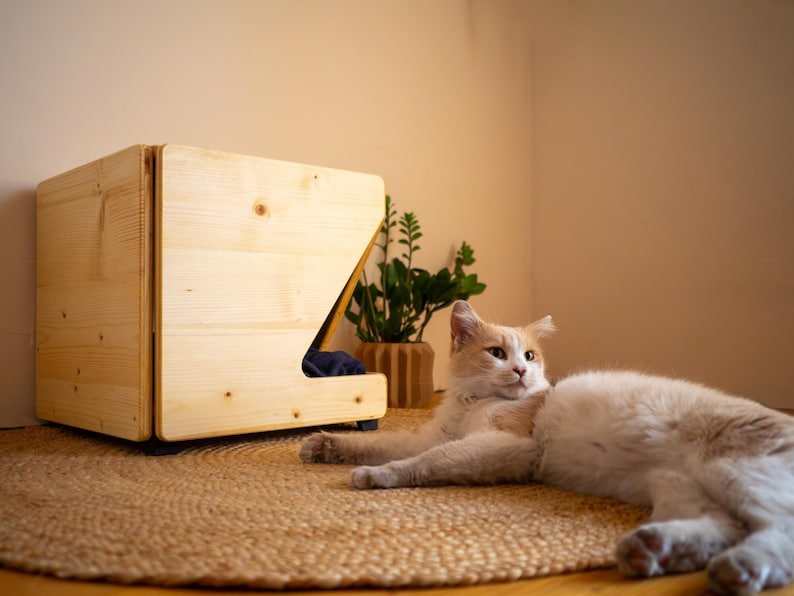 Pu&ograve; includere: Un letto per gatti in legno marrone chiaro con un'entrata rialzata e un gatto crema e arancione sdraiato su un tappeto intrecciato di fronte.