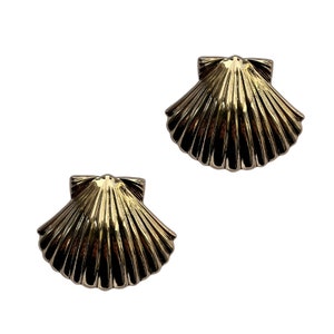 Shell clips Coral Beach