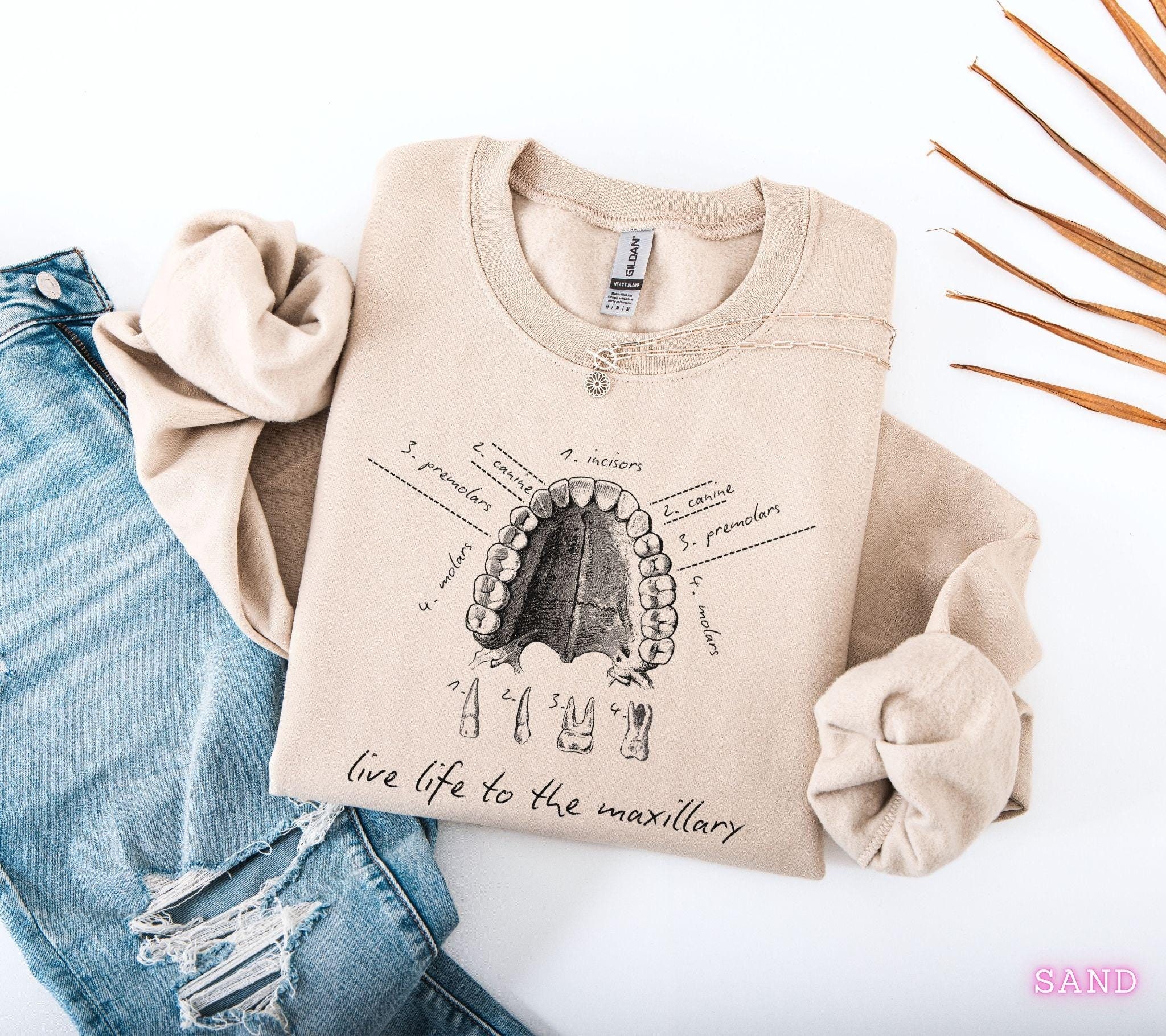 Dental Anatomy Sweatshirt, Tooth Dental Hygiene Sweater, Dental Hygienist Gift, Dental Assistant Graduation Gift, Office Student PRID19