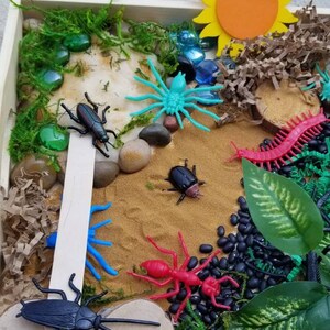 May include: A wooden tray filled with sand, black beans, green moss, and toy insects, including a blue spider, a red ant, a black beetle, and a black cockroach. A yellow paper sun and a blue glass bead are also visible.
