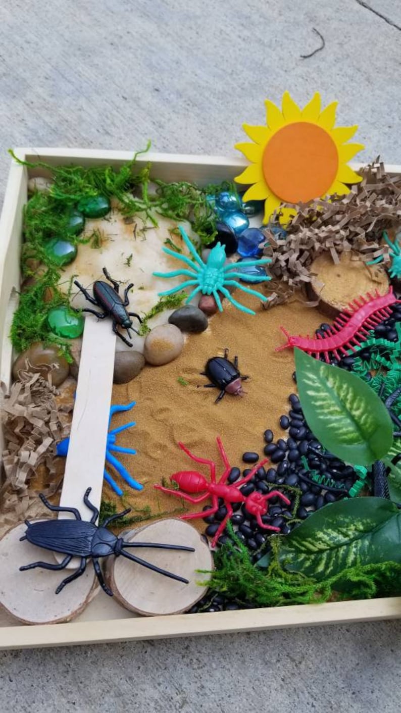 May include: A wooden tray filled with sand, black beans, green moss, and toy insects, including a blue spider, a red ant, a black beetle, and a black cockroach. A yellow paper sun and a blue glass bead are also visible.