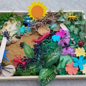 May include: A wooden tray filled with a variety of nature-themed toys, including a yellow sun, green leaves, a red centipede, a blue butterfly, and several black and blue insects. The tray is filled with brown sand, black beans, and green moss.