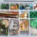 Wild Animal Sensory Kit | Safari Sensory Bin | Zoo Tinker Box | Loose ...