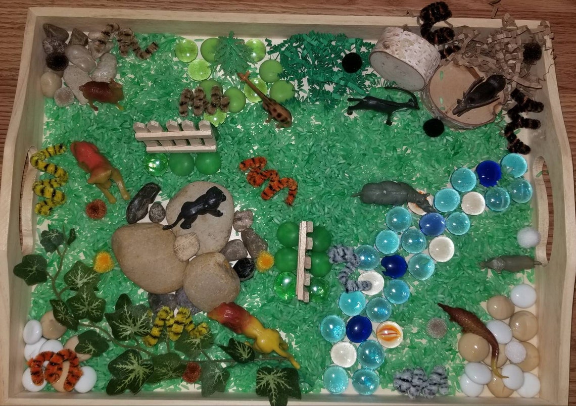 Wild Animal Sensory Kit | Safari Sensory Bin | Zoo Tinker Box | Loose ...