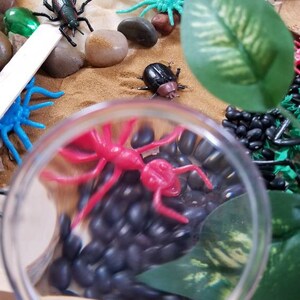 May include: A magnifying glass is positioned over a tray containing black beans, red and blue plastic bugs, and green plastic leaves. The tray also features small rocks, green glass gems, and a wooden stick.