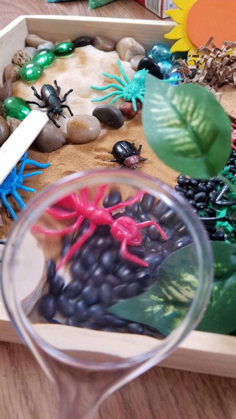 May include: A magnifying glass is positioned over a tray containing black beans, red and blue plastic bugs, and green plastic leaves. The tray also features small rocks, green glass gems, and a wooden stick.