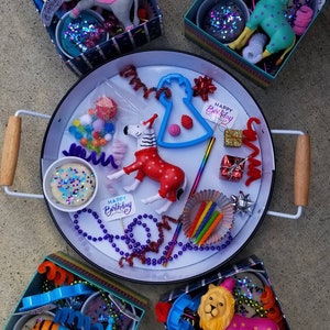Birthday Play Dough Kit | Party Animal Play Dough Kit | Birthday Sensory Kit | Loose Parts | Birthday Gift for Kids | Tinker Box