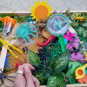 May include: A wooden tray filled with various items for a bug themed sensory bin. The tray includes a magnifying glass, a butterfly, a ladybird, a caterpillar, a spider, a net, and a pair of scissors.